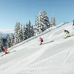 Apartman Alpenparks & Areitxpress Zell am See