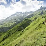 Alpenparks & Areitxpress * Zell am See
