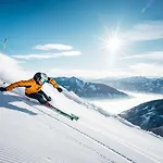 Alpenparks & Areitxpress * Zell am See
