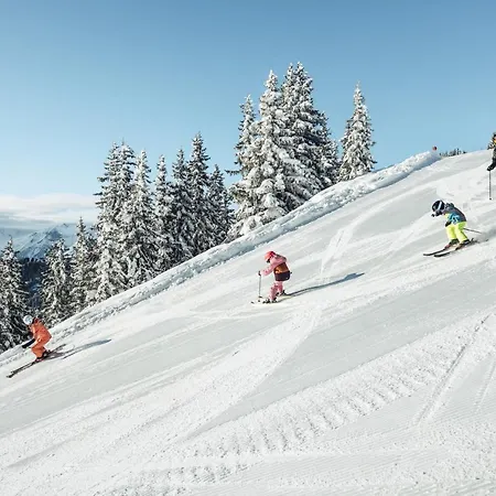 Апартаменти Alpenparks & Areitxpress Целль-ам-Зеє
