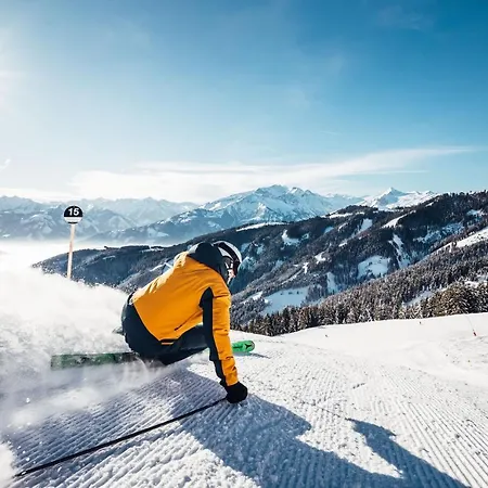 Alpenparks & Areitxpress *